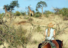 Tanzania-Tanzania-Kilimanjaro Big Game Trail